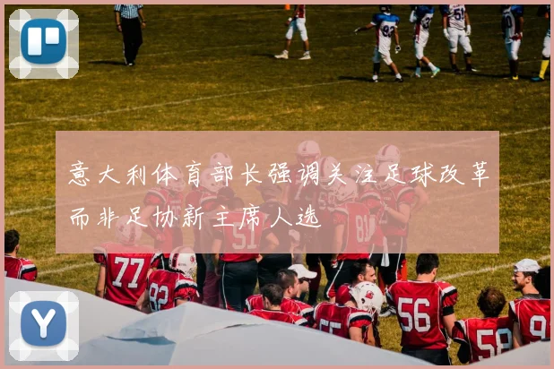 意大利体育部长强调关注足球改革而非足协新主席人选